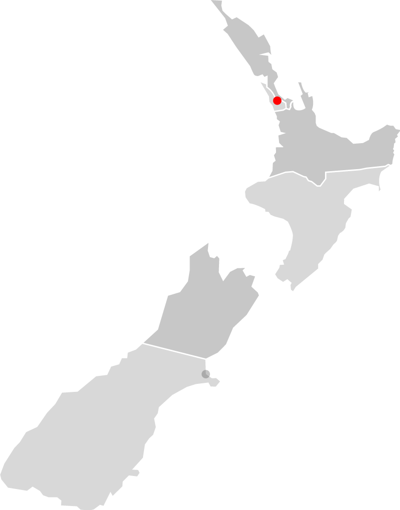 Image of Auckland Based BDM